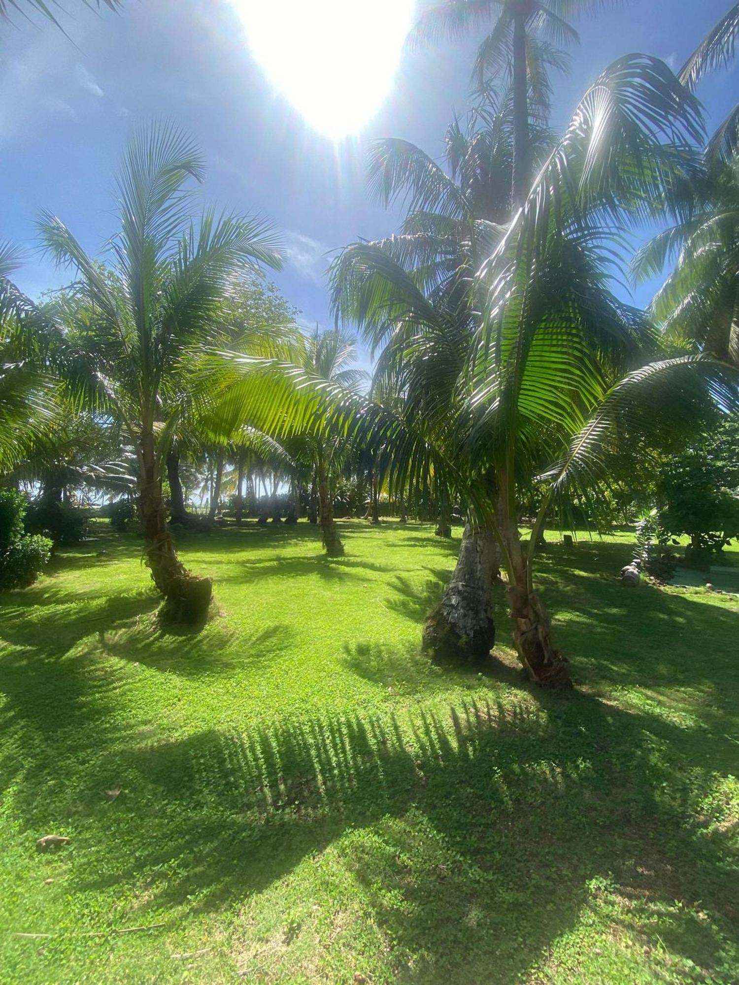 South End Villas - Apartamentos Paradisiaco En El Caribe Colombiano San Andrés Dış mekan fotoğraf